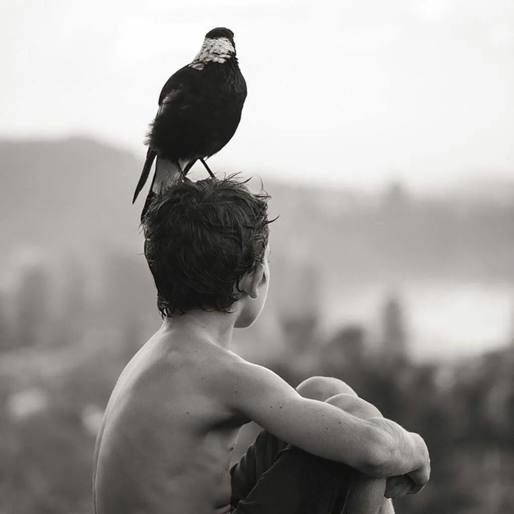 Люди не птицы 1 час. Человек птица. Человек птица картинки. Люди и птицы фото. Человек и птицы фото чб.
