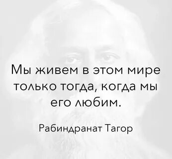 Цитаты 2023