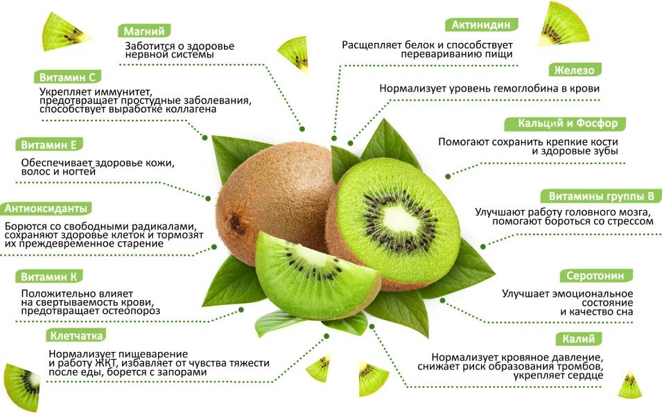 Что будет после киви. Киви фрукт состав микроэлементов и витаминов. Киви фрукт витамины. Киви состав витаминов. Киви витамин с на 100 грамм.