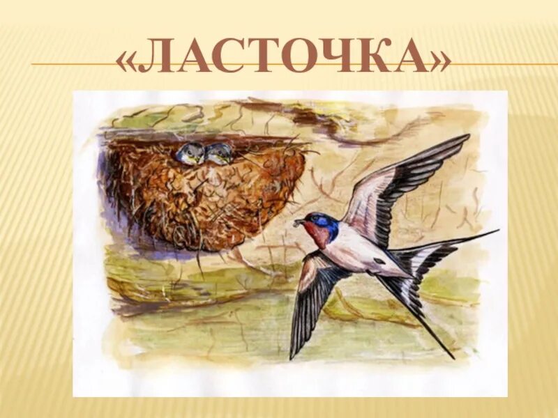 Ушинский Ласточка. Легенда о Ласточке. Ласточки живопись. Ласточка стихотворение рубцова