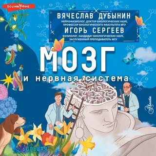 Аудиокниги мозг