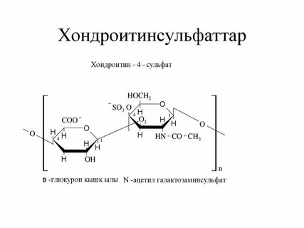 Хондроитин сульфат биологическая роль