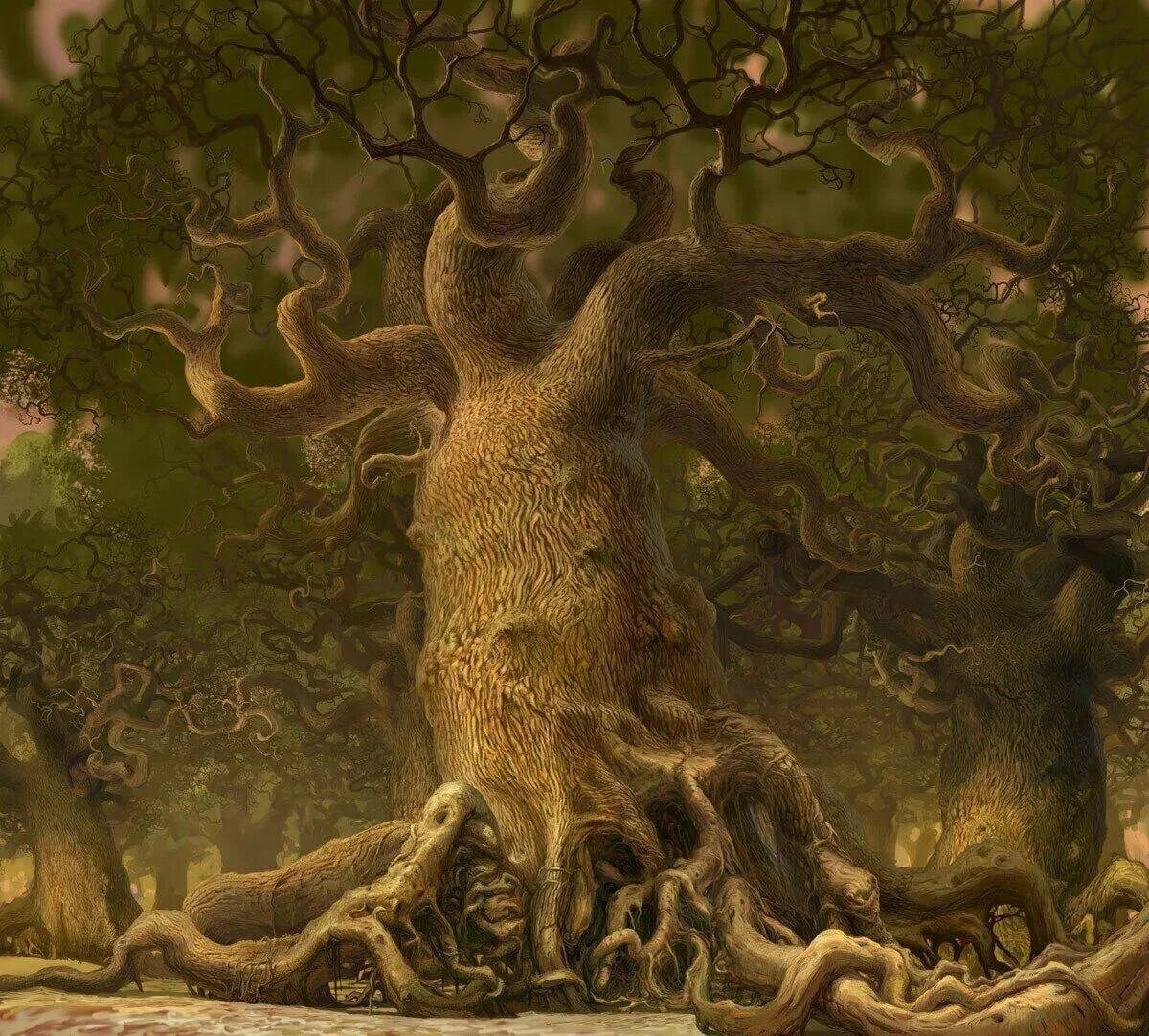 Человек под дубом. Старый вяз Властелин колец. Сказочное дерево. Сказочное дерево с корнями. Магическое дерево.