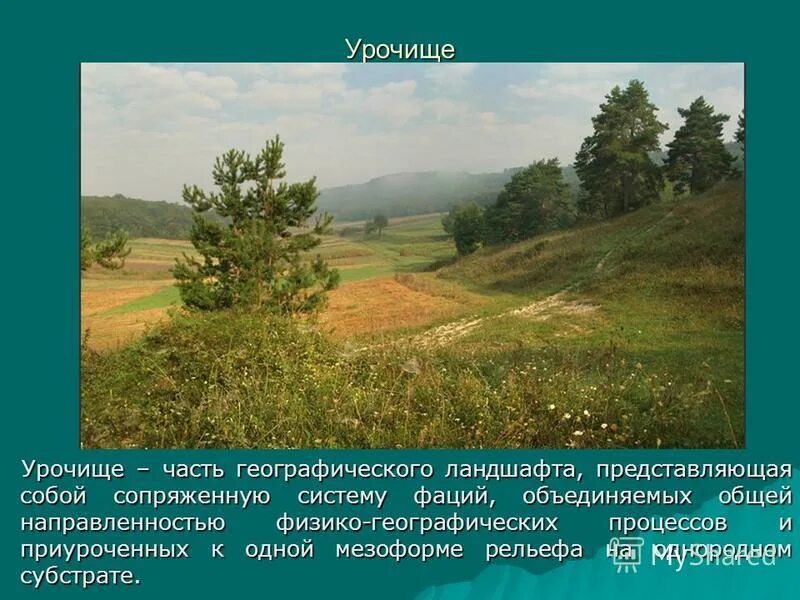 Красивая меча церковь михаила архангела. Охонины брови курганская область. Урочище это простыми словами. Что значит урочище. Церковь архангела михаила урочище маслово.