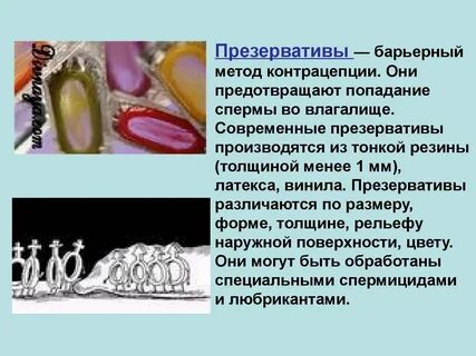 Преза презентация