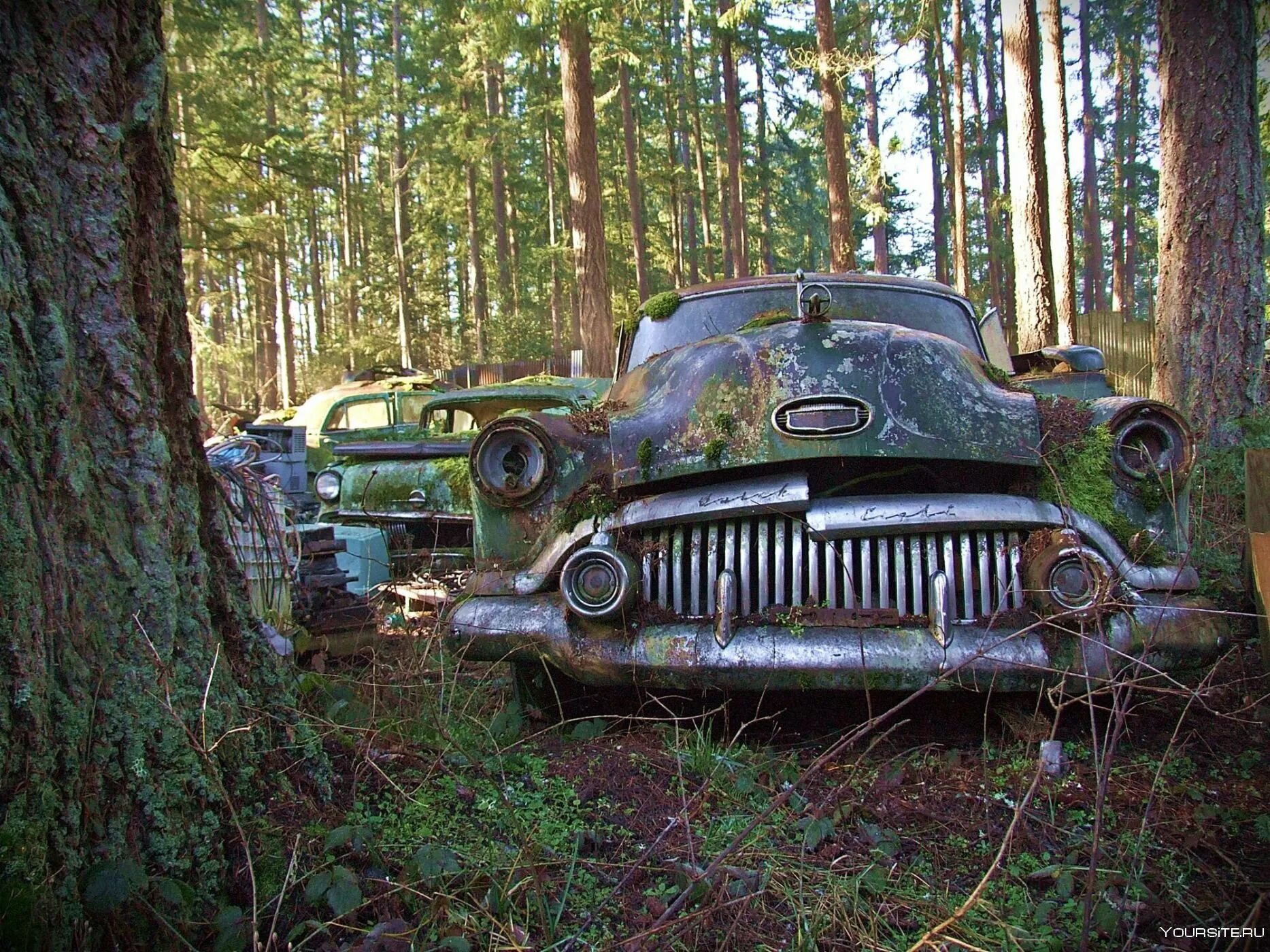 Забытые форумах. Старые брошенные автомобили. Кладбище старых машин. Заброшенные ретро автомобили. Заброшенные машины в лесу.