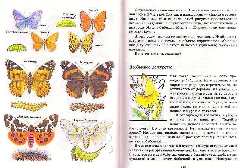 Зеленые страницы рассказ первые бабочки читать. Бабочки окружающий мир 1 класс рабочая тетрадь. Зеленые страницы в атласе определитель про бабочек. Бабочки атлас определитель траурница. Книга зелёные страницы 2 класс окружающий мир первые бабочки.