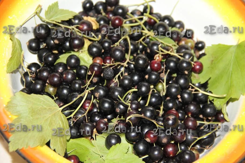 Смородина через. Иссык кульская смородина. Смородина кустарник. Смородина каскад. Варенье из чёрной смородины на зиму через мясорубку.