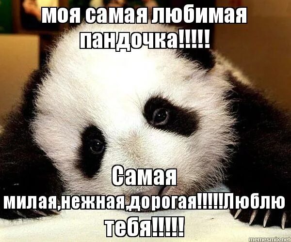 Панда мия (bensh, kondratyuk remix) mc zali. Люблю тебя пандочка. Там ревели горы miyagi. Martik c feat mc zali - панда мия. Моя панда.