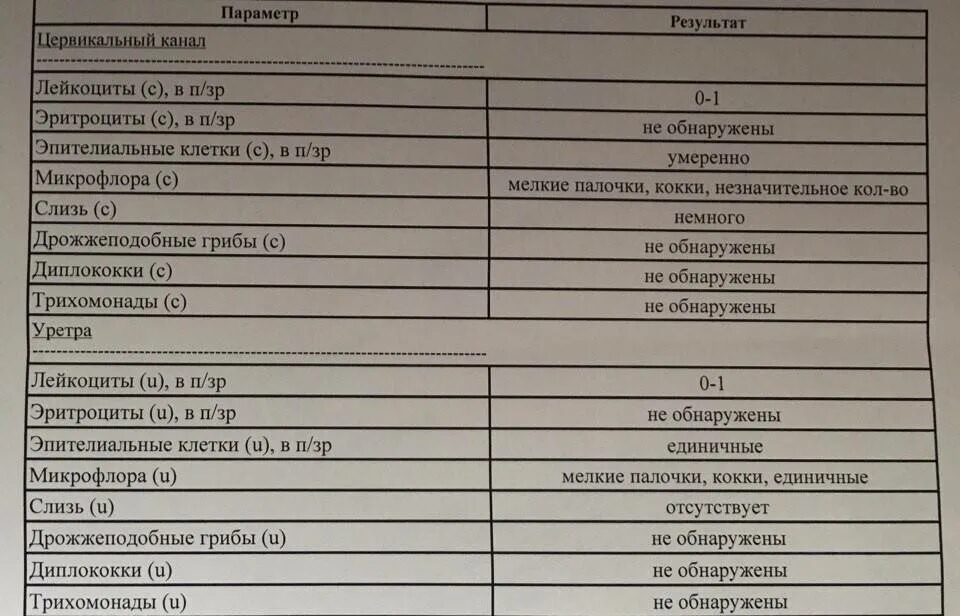 Лейкоциты в мазке на цитологию 30-40. Лейкоциты в п зрения норма у женщин мазок. Воспаление на мазке на онкоцитологию. Исследование мазка эпителий норма. Эпителий у женщин в поле зрения.
