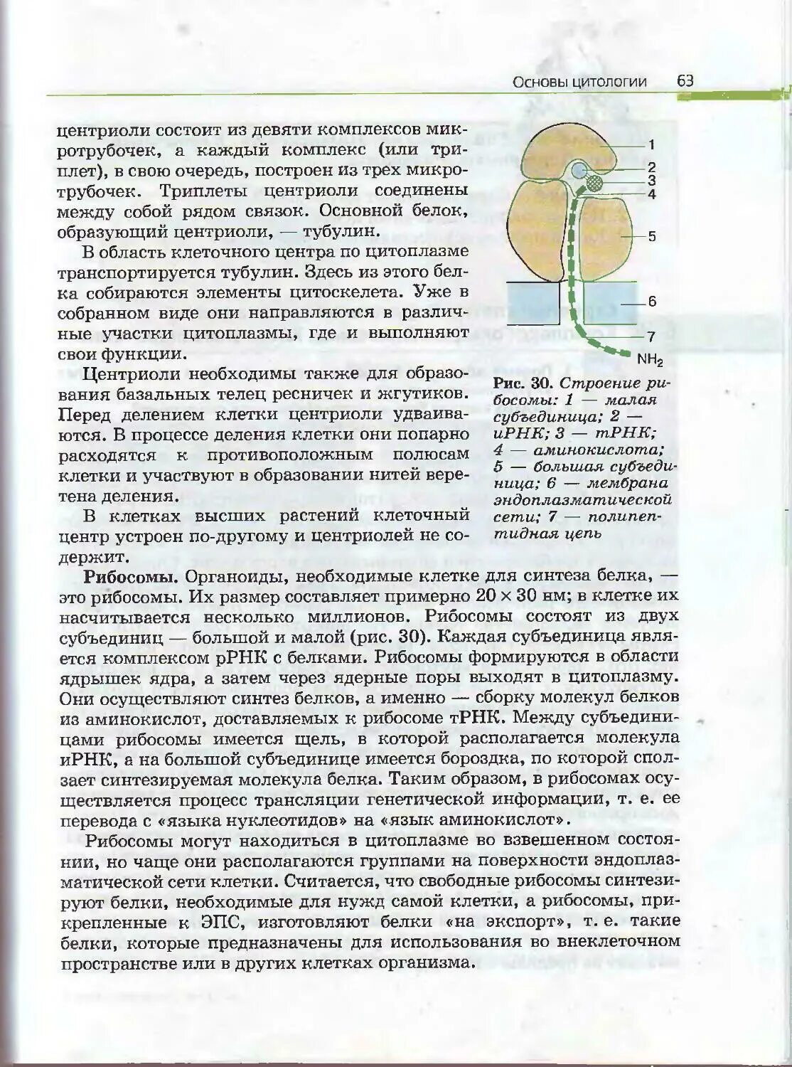 10-11 Класс общая биология Каменский Криксунов. Биология 10 11 класс Криксунов Пасечник. Каменский Криксунов Пасечник биология 10 11 класс. Биология 10-11 класс учебник Каменский Пасечник. Учебник биологии 10 класс пасечник каменский