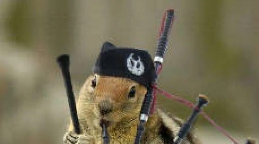 Волынка в шотландии. Волынка духовой музыкальный инструмент. Древняя волынка. Ансамбль волынщиков. Болгарская волынка гайда.