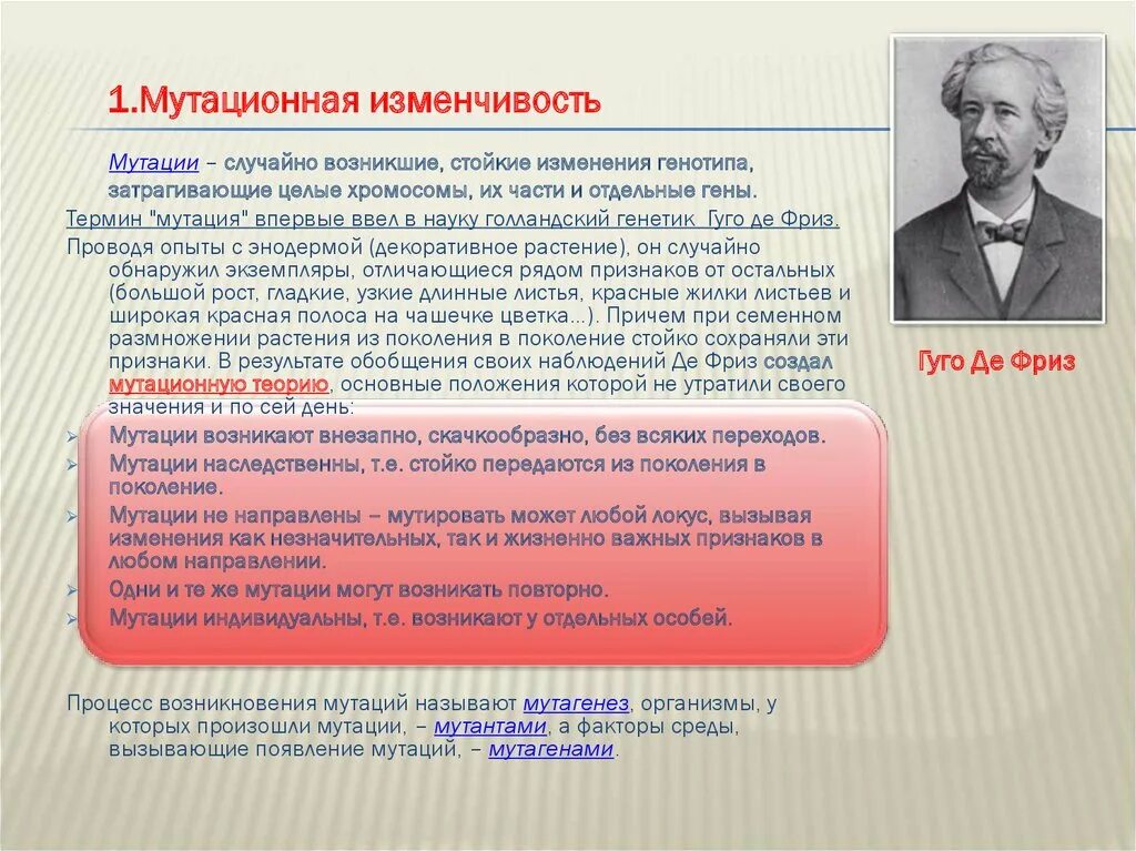 Мутационная изменчивость возникает. Виды мутационной изменчивости. Мутационная изменчивость виды мутаций. Мутационная изменчивость примеры.