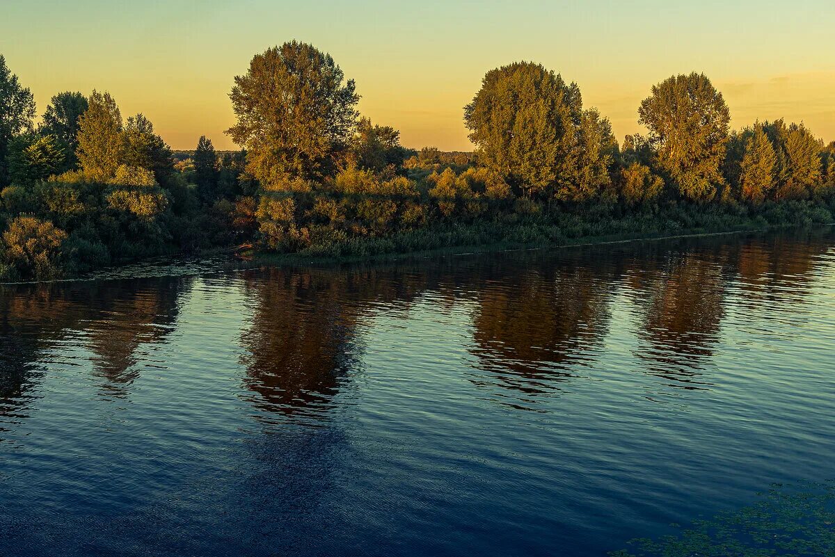 Как чепца изменяется в разные времена года. Реки удмуртии. Каринский мост кирово-чепецк. Ледоход на каме. Обь в разные времена года.