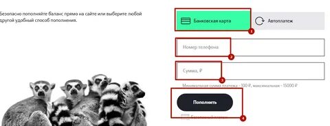 Оплата теле2 через интернет без комиссии