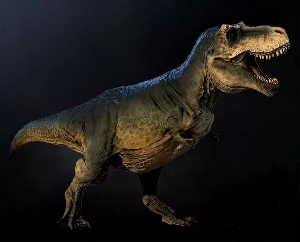 Jurassic World D-Rex Hybrid Dinosaur Fully Revealed Dinossauros, Jurassic park, 