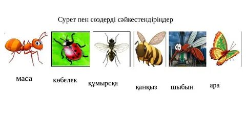 Үлкен дилдосы бар қыздардың порнофотосуреттері