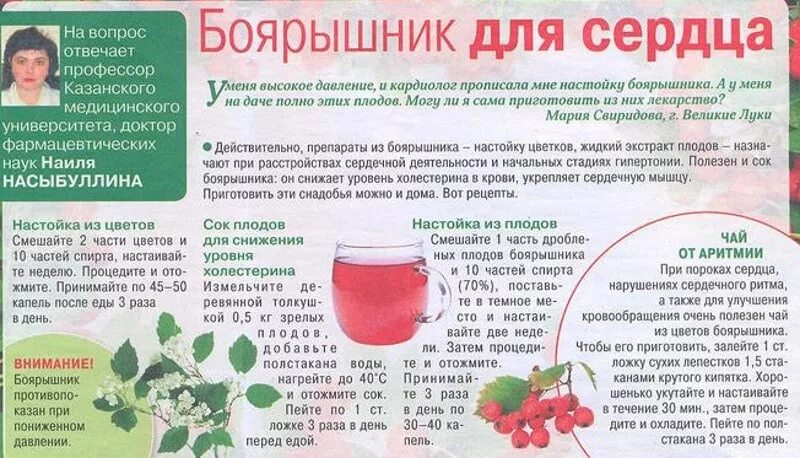 Сколько дней можно пить отвар. Отвар боярышника от чего полезно. рецепт отвара боярышника. настойки для понижения артериального давления. народные рецепты от высокого давления.