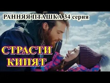 Страсти кипят