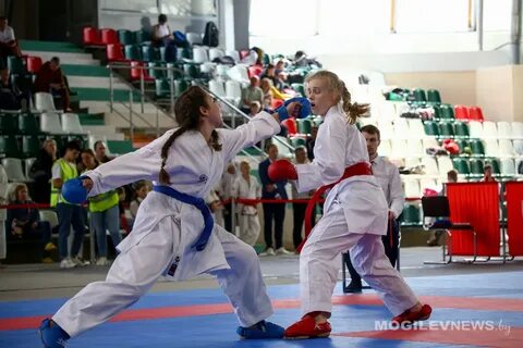 Карате могилев