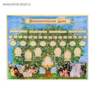 Родословное древо 3