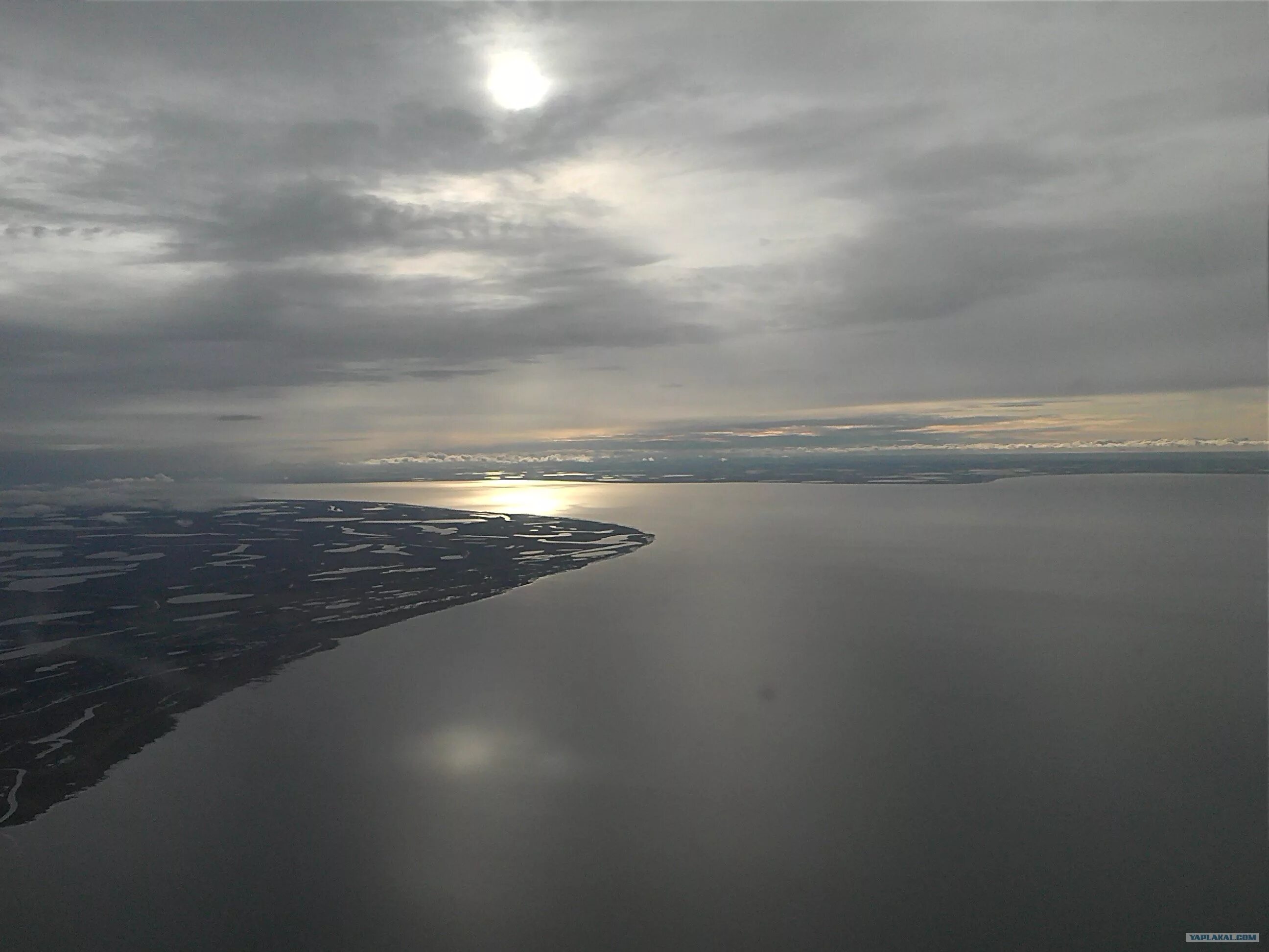 Река енисей впадает в море. Карское море Обская губа. Река Обь Обская губа. Эстуарий Обская губа. Реки Обской губы.