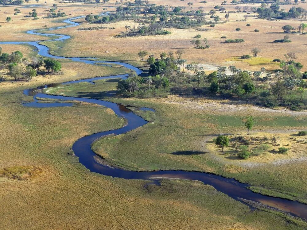 Африканская река. Африканская река. Африканская река. Конго заир река. Река лимпопо юар.