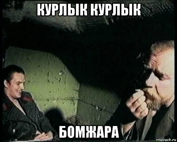 Курлык. Курлык мурлык по щучьему. Голубь мем курлык. Курлык курлык курлык курлык. Голубь мем курлык.