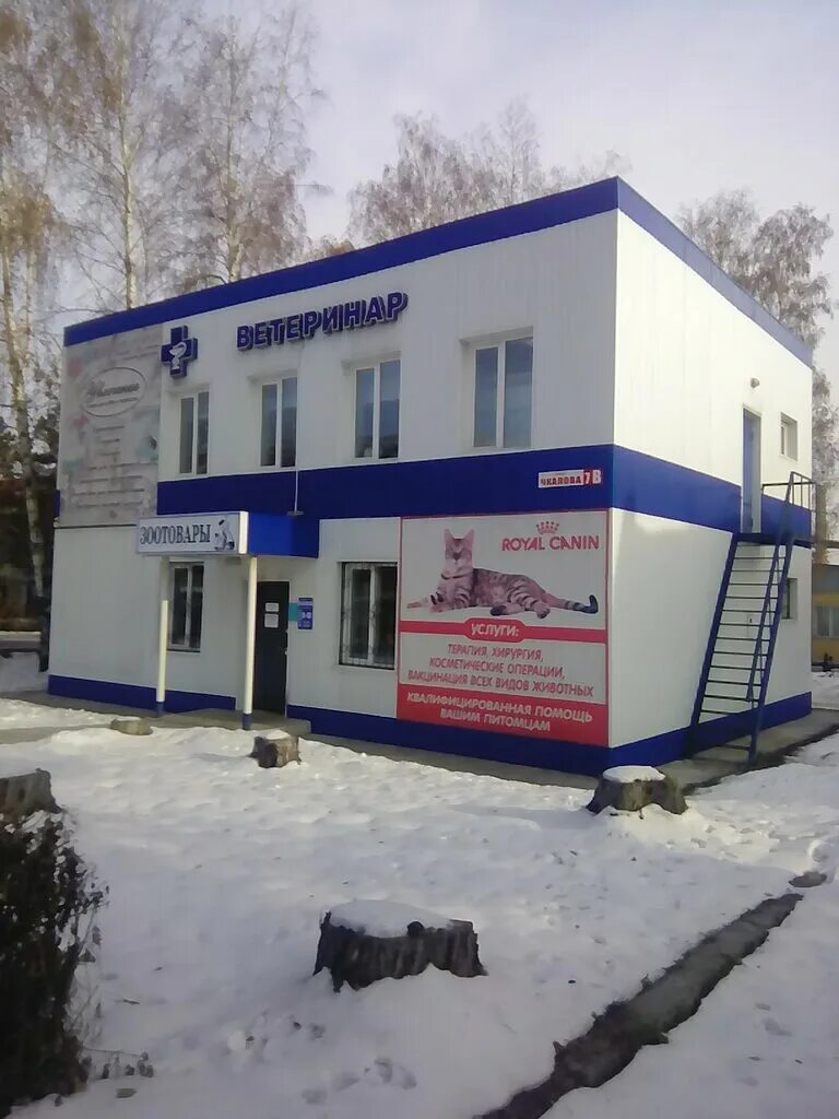 Медицинские центры белово. Медицинские центры белово. Медицинские центры белово. Цинкзаводской 13 белово. Медицинские центры белово.