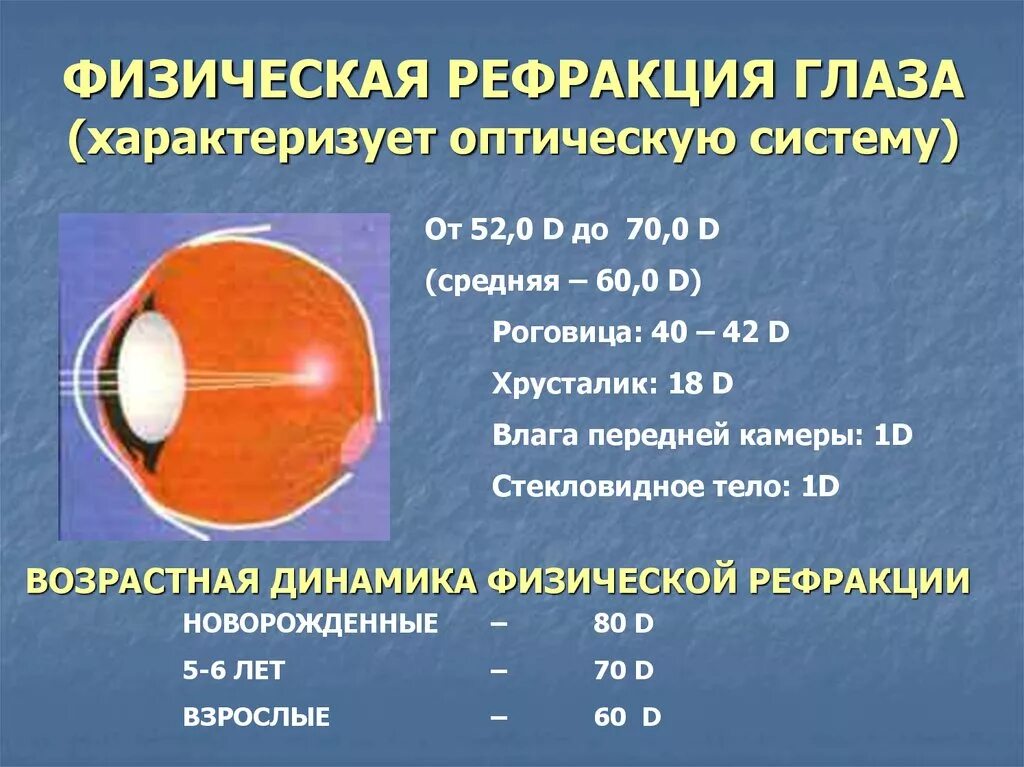 Пределы изменения физической рефракции глаза. Физическая рефракция. Динамическая рефракция глаза. Рефракция роговицы.