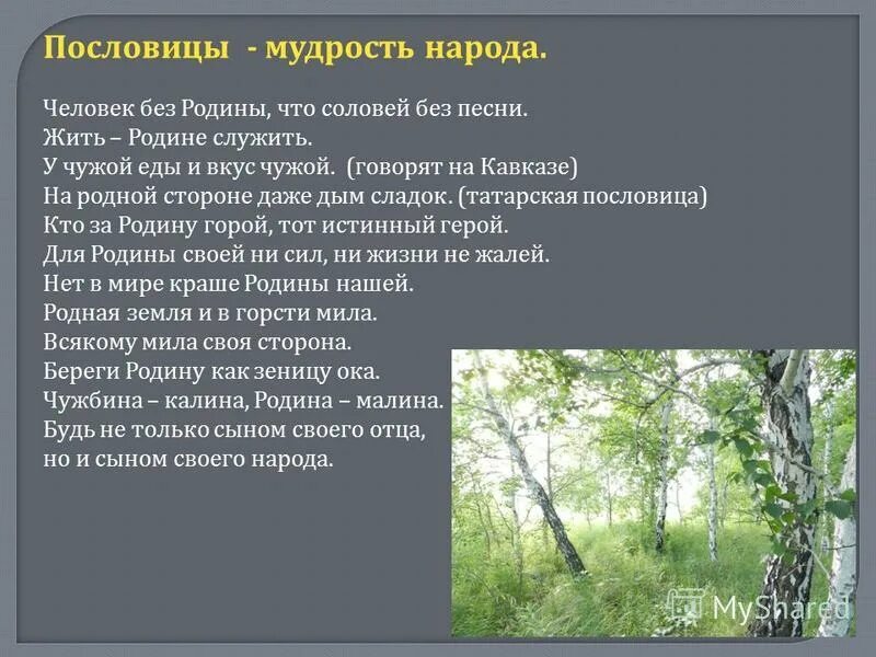 Жить родине служить пословица. Человек без Родины что Соловей. Сочинение жить родине служить. Человек без Родины что Соловей без песни. Жить родине служить сочинение рассуждение.