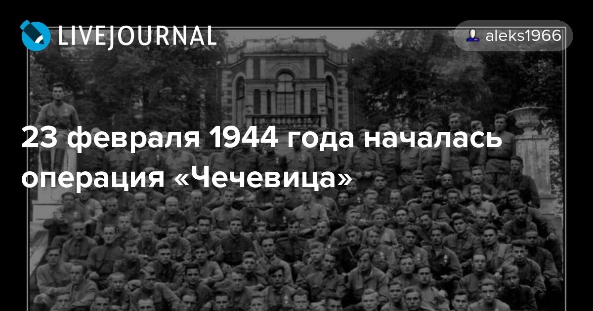 высылка чеченцев и ингушей в 1944 году. 23 февраля минимализм. дата депортации чеченцев. 23 февраля чечевица. депортация ингушского народа 23 февраля 1944.