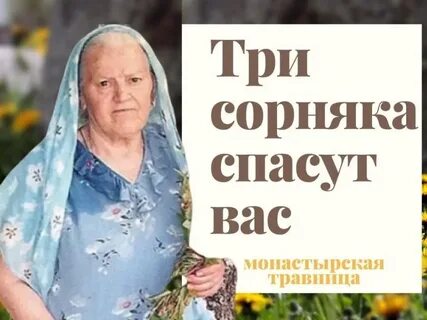 Рецепты травницы зайцевой елены федоровны книга
