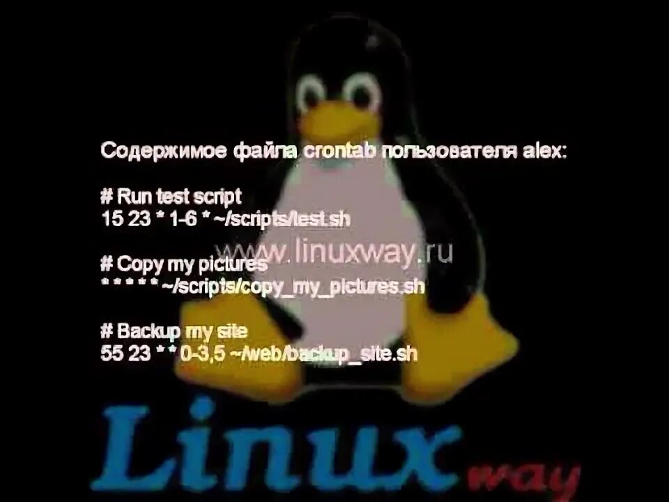 Linux переименовать пользователя. Linux переименовать пользователя