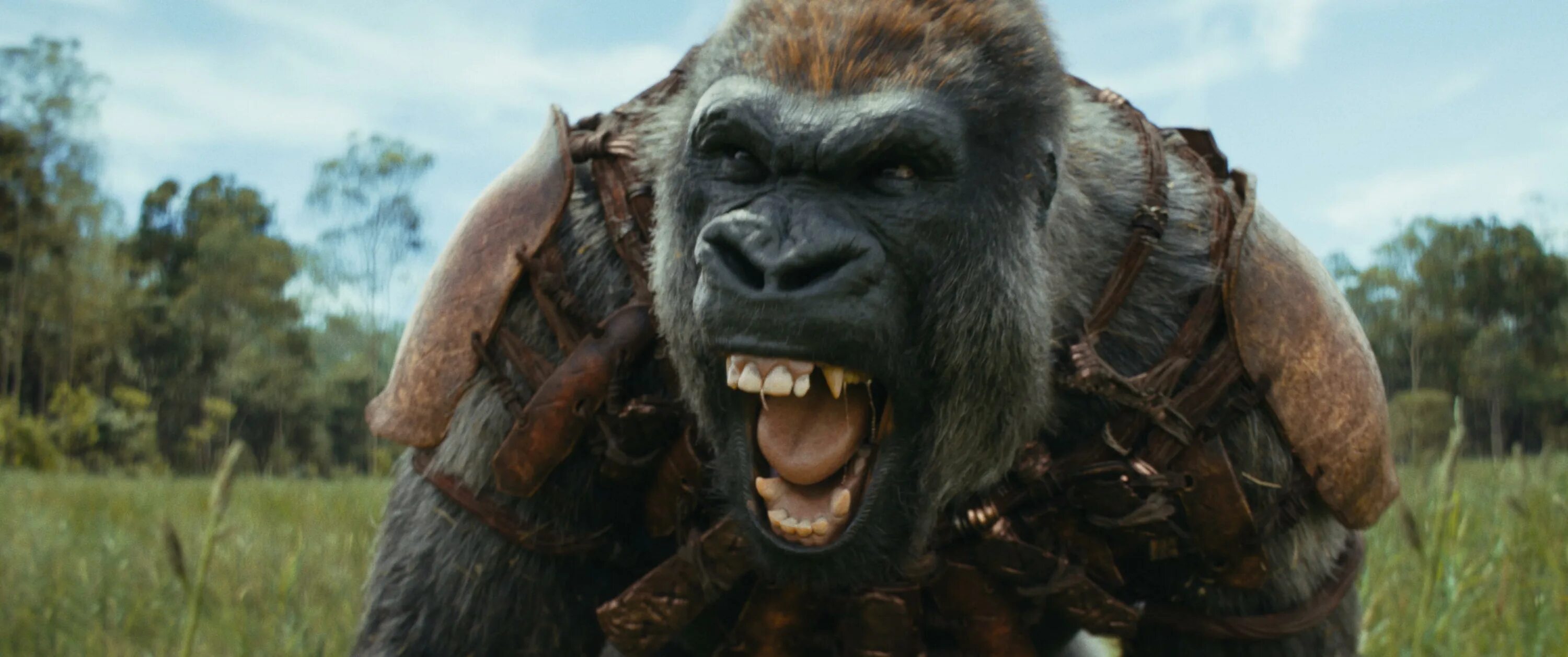 Rotten Tomatoes: Movies TV Shows Movie Trailers Reviews Rotten Tomatoes