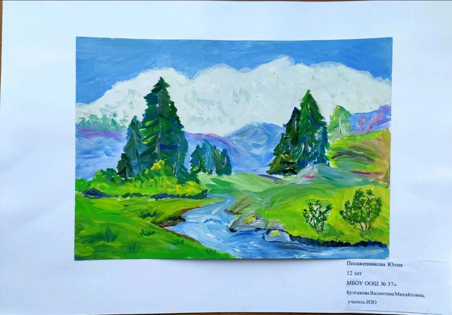 Пейзаж рисунок конкурс. Рисунок на тему горы. Пейзаж родного края. Родные пейзажи рисунки. Экологический пейзаж рисунки.