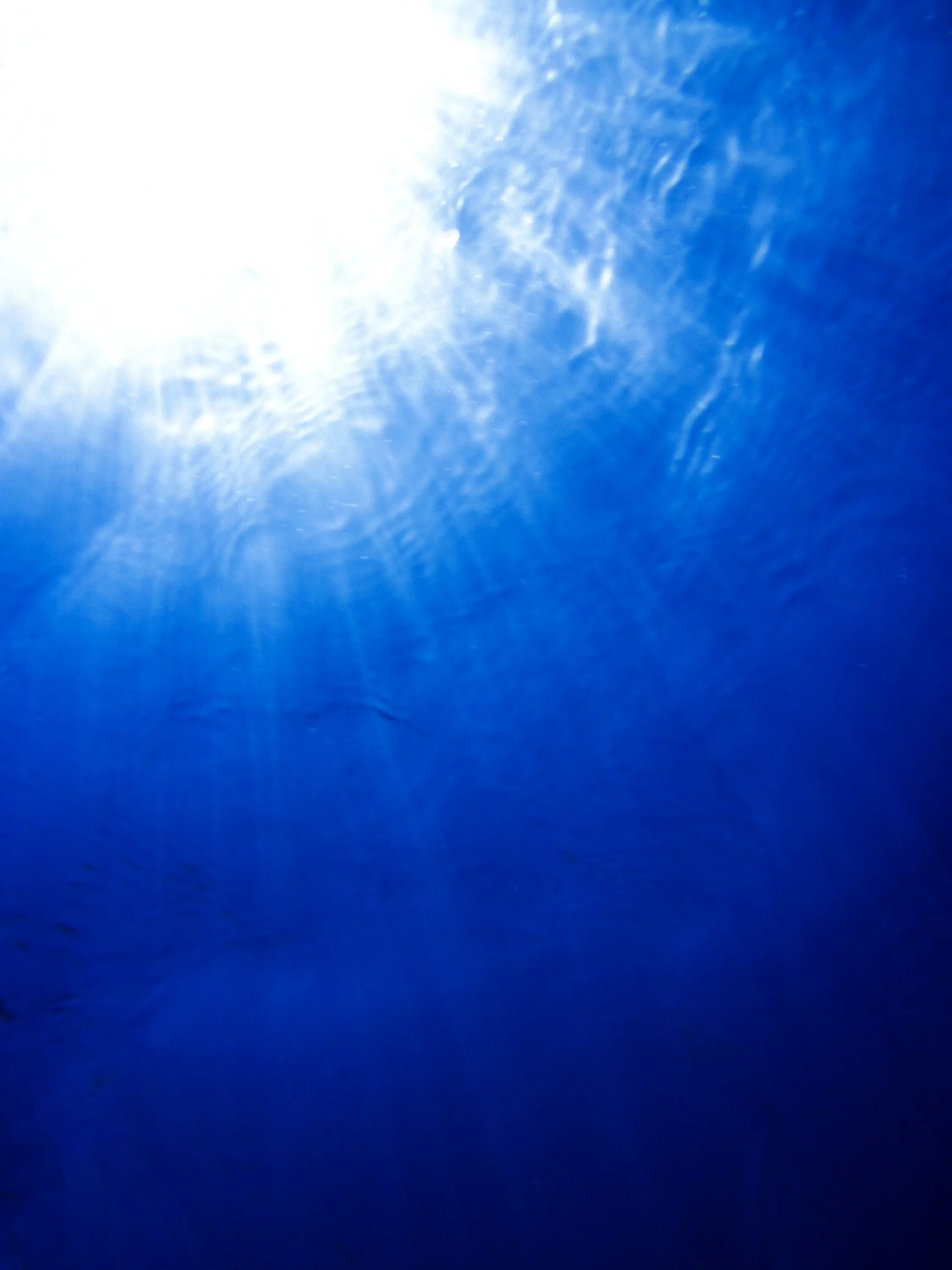 Свет через океан. Лучи света под водой. Свет под водой. Солнце под водой. Под водой.