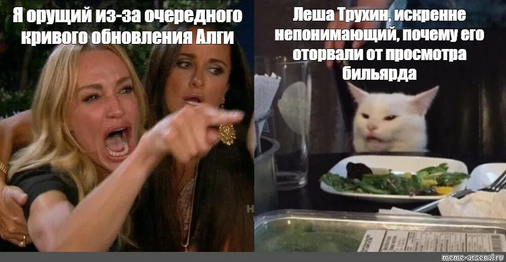 Пустота внутри. Видео кричишь на меня. И мне твой тон не понравился. Кошки и собаки юмор. Кричишь на меня.