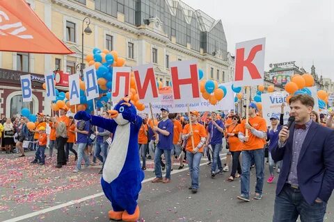 Сайт владлинк владивосток