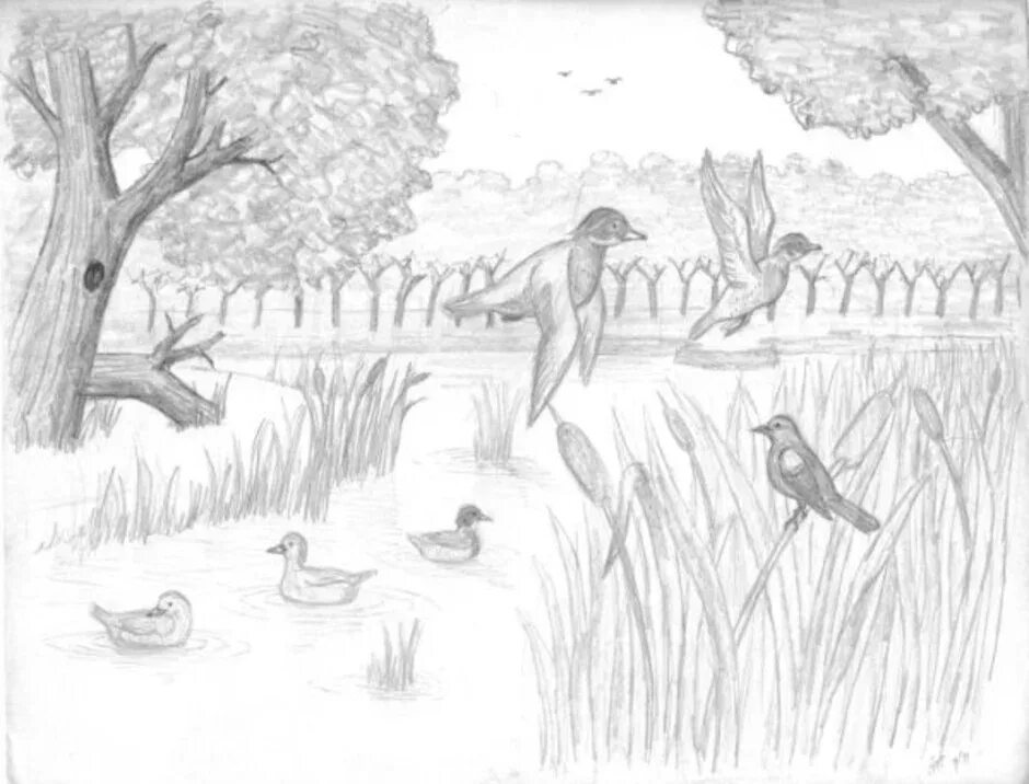 Васюткино озеро иллюстрация карандашом. Васюткино озеро иллюстрации. Васюткино озеро. Иллюстрация Васюткино озеро 5. Васюткино озеро рисунок.