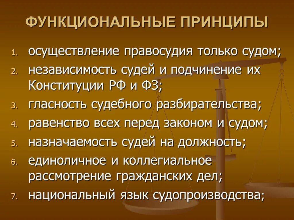 Функциональным принципом является. Функциональные принципы гражданского судопроизводства. Функциональные принципы. Функциональные принципы ГПП. Организационные принципы гражданского судопроизводства.