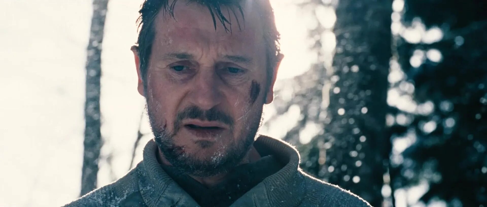 стальная схватка трейлер. нил макколи преступник фото. решающая схватка фильм 2011. лиам нисон схватка. схватка фильм 2011 самолет.