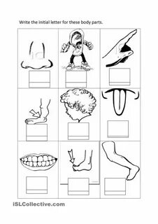 Write the parts of the body
