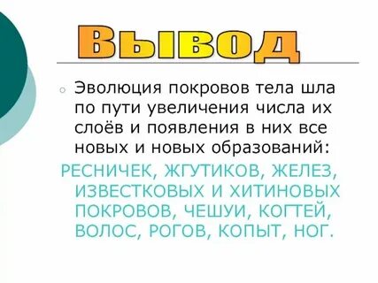 Интересные факты о покровах тела животных