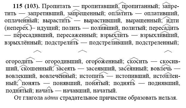 Решу русский язык 7. Русский язык 7 класс упражнения. Упражнения по русскому языку 7 класс. Русский язык 7 класс упражнение 115. Упражнение 115 по русскому языку 7 класс.