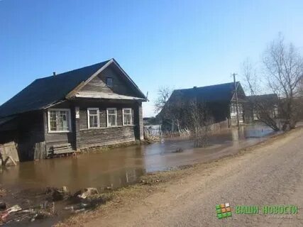 Погода в полами новгородской