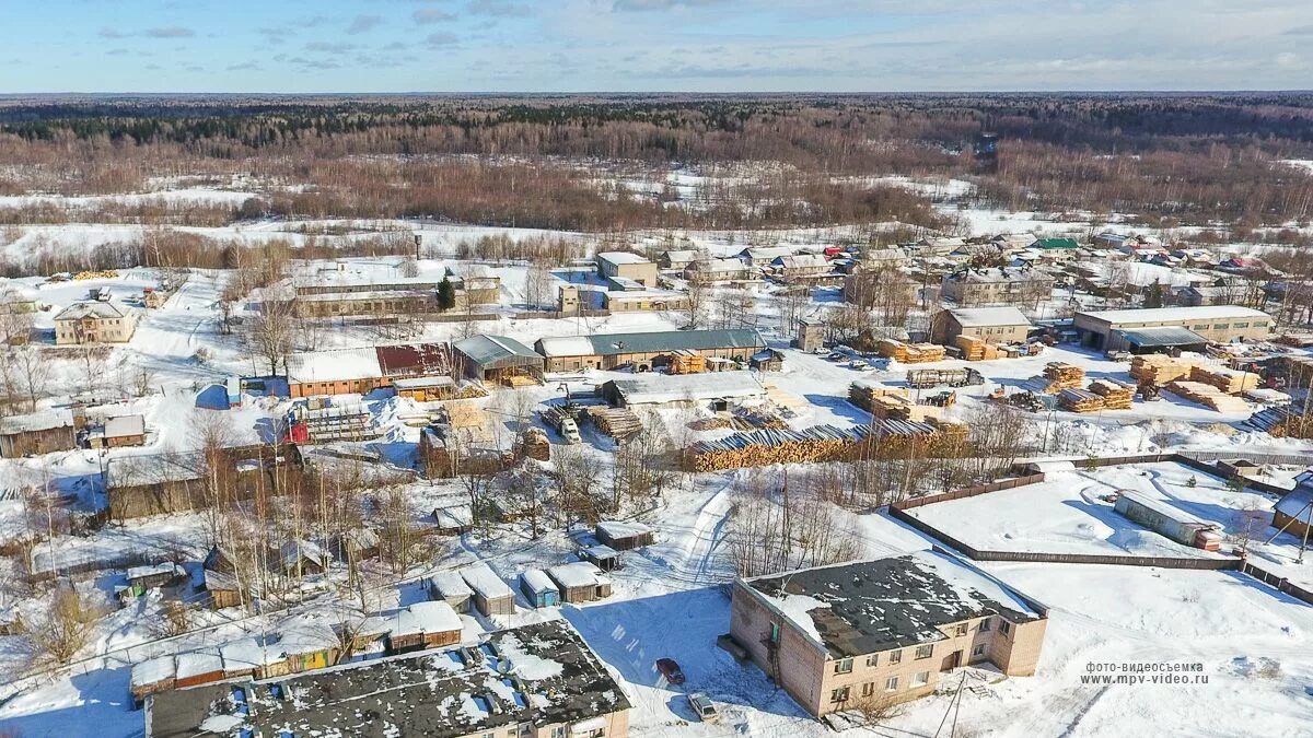 Поселок Крестцы. Крестцы Новгородская область. Численность населения поселка Крестцы Новгородской области. Поселок Крестцы Новгородская Губерния. Новгородская область крестцы на неделю