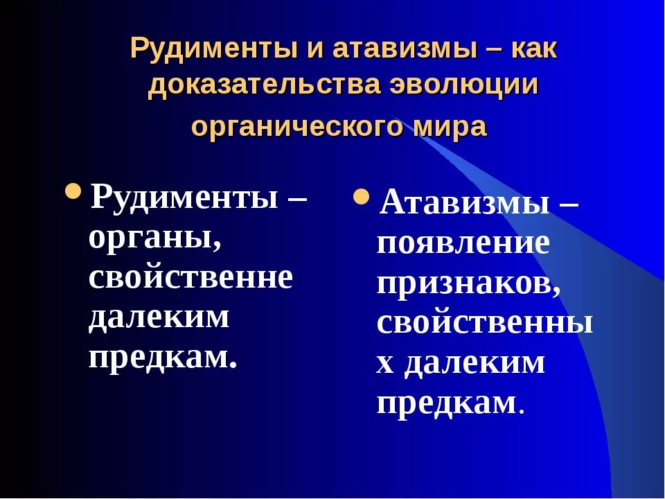 Рудименты и атавизмы доказательства эволюции. Рудименты и атавизмы человека таблица. Рудименты и атавизмы доказательство.