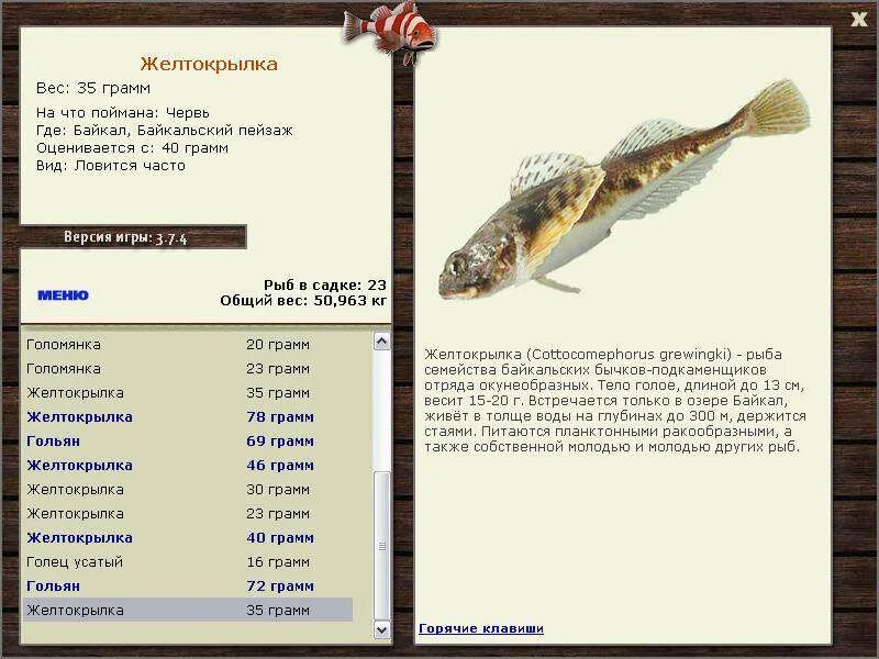 Вес пороха в 308 калибре. Подлещик 300 грамм. Что весит 9 грамм. Пули 10 грамм. Что весит 9 грамм.