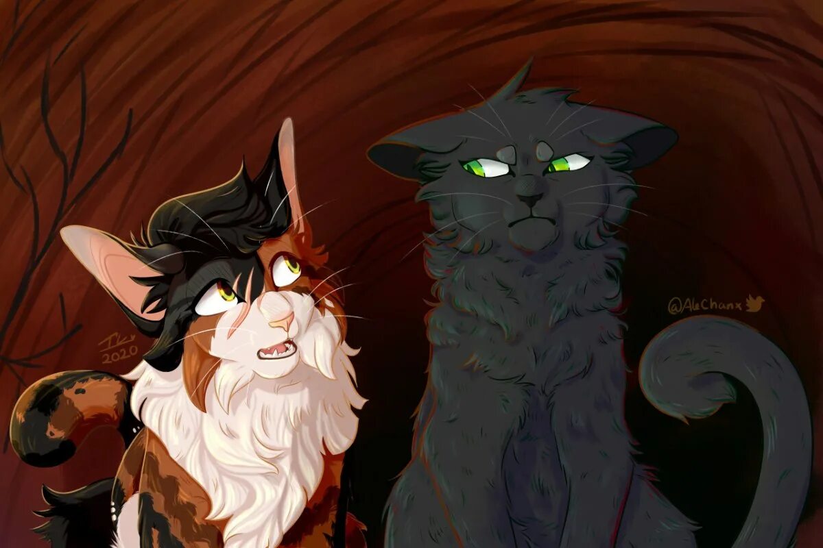 Коты воители барсучий зуб. Коты воители яролика и быстролап. Эрин хантер коты воители знак трех. Звездоцап и огнезвезд. Читать забытый воин воители.